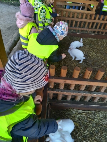 Wycieczka do dyniolandu – dzieci przy zagrodach z królikami