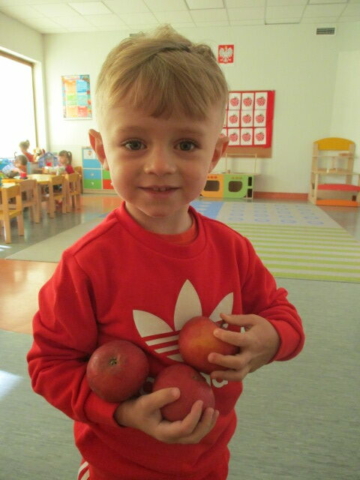 Chłopiec z grupy drugiej trzyma trzy czerwone jabłka