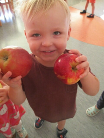 Chłopiec z grupy drugiej trzyma w ręku dwa jabłka (2)