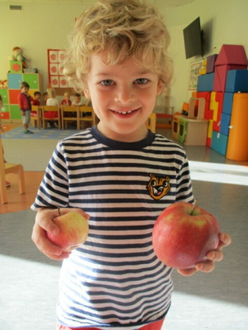 Chłopiec z grupy drugiej trzyma w ręku dwa jabłka
